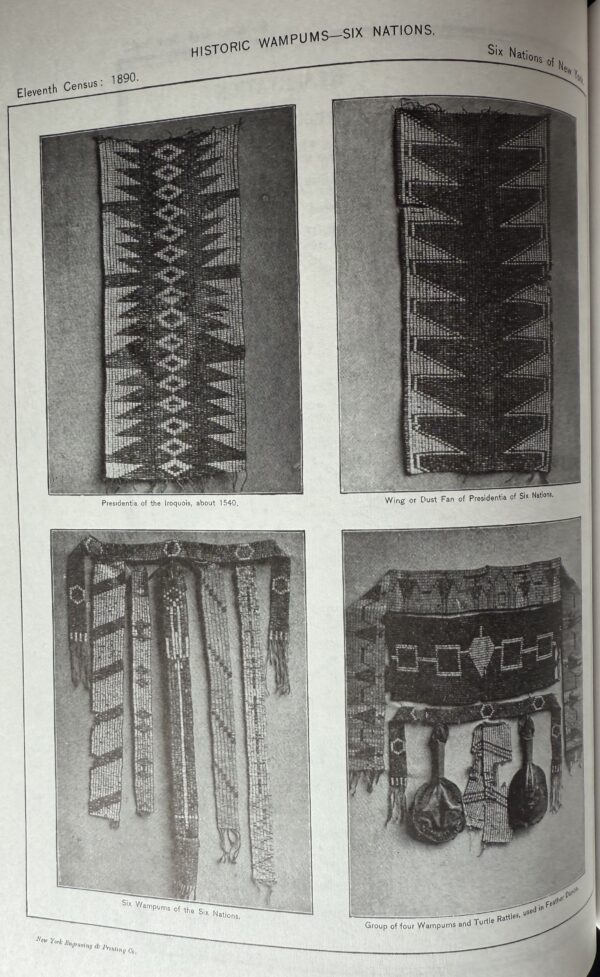 The Six Nations of New York: The 1892 United States Extra Census Bulletin - Image 5